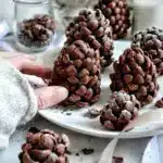 pommes de pin vegetales au chocolat et beurre de c 2025 10 11 131312 150x150 1