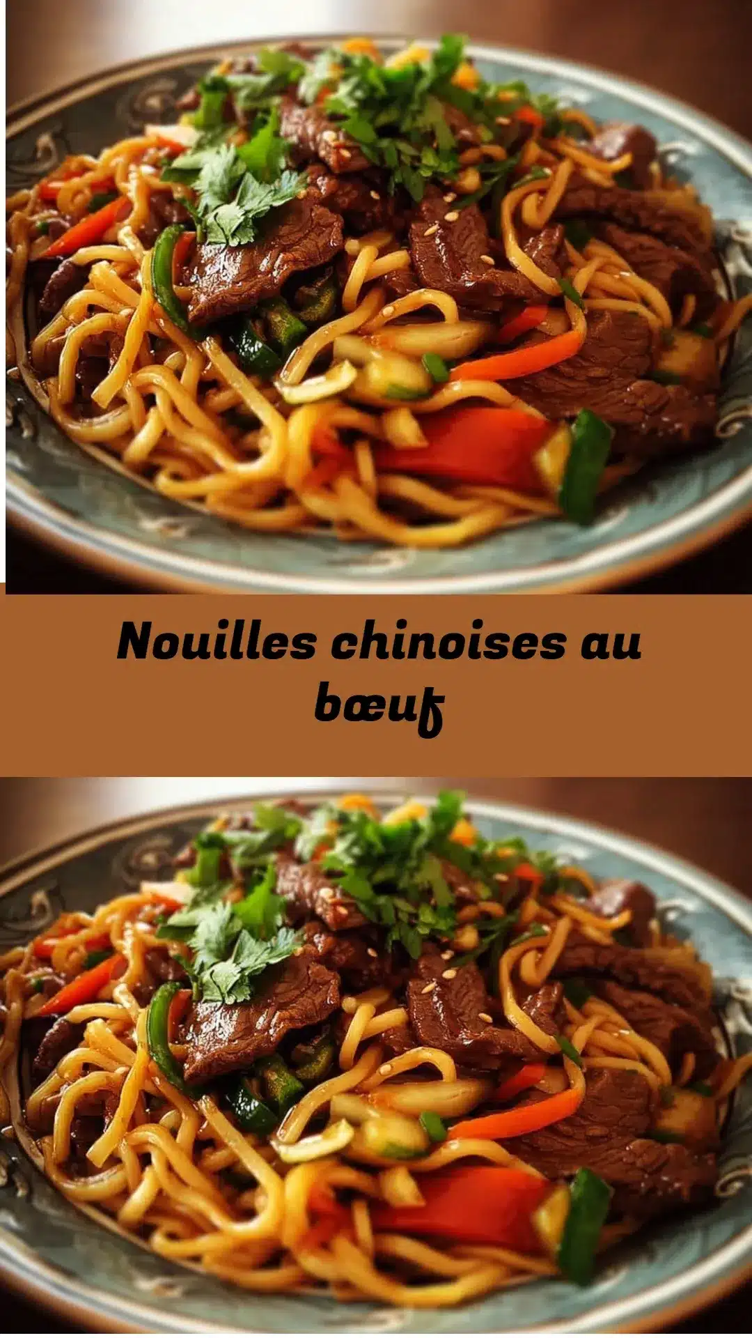 Nouilles chinoises au bœuf